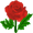 �ʻ�